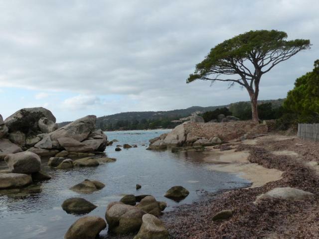 Luna Verde Porto-Vecchio  Kültér fotó