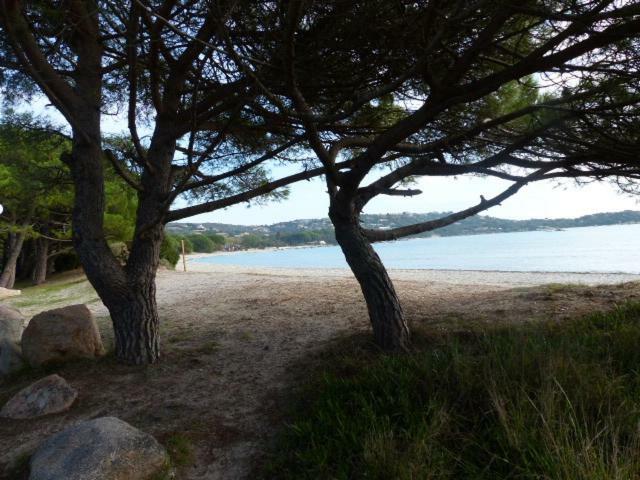 Luna Verde Porto-Vecchio  Kültér fotó